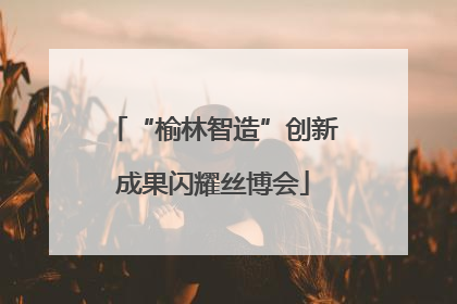 “榆林智造”创新成果闪耀丝博会