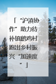 “沪滇协作”助力待补镇鹧鸡村跑出乡村振兴“加速度”