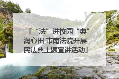 “法”进校园“典”润心田 市南法院开展民法典主题宣讲活动