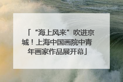 “海上风来”吹进京城！上海中国画院中青年画家作品展开幕