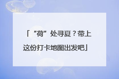 “荷”处寻夏？带上这份打卡地图出发吧