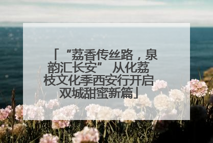 “荔香传丝路，泉韵汇长安” 从化荔枝文化季西安行开启双城甜蜜新篇