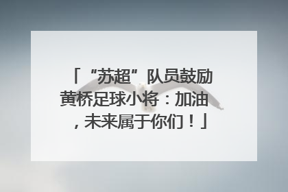 “苏超”队员鼓励黄桥足球小将：加油，未来属于你们！