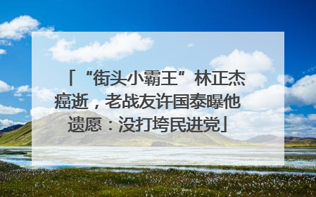 “街头小霸王”林正杰癌逝，老战友许国泰曝他遗愿：没打垮民进党