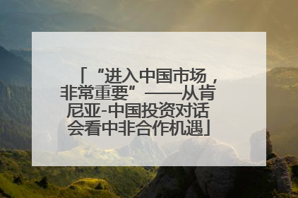 “进入中国市场，非常重要”——从肯尼亚-中国投资对话会看中非合作机遇