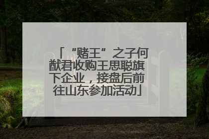“赌王”之子何猷君收购王思聪旗下企业，接盘后前往山东参加活动