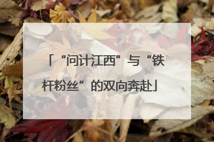 “问计江西”与“铁杆粉丝”的双向奔赴
