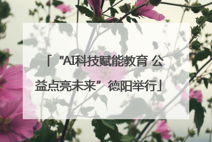 “AI科技赋能教育 公益点亮未来”德阳举行