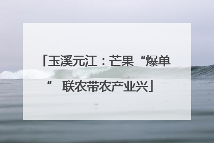玉溪元江：芒果“爆单” 联农带农产业兴
