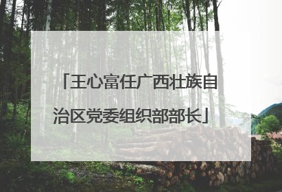 王心富任广西壮族自治区党委组织部部长