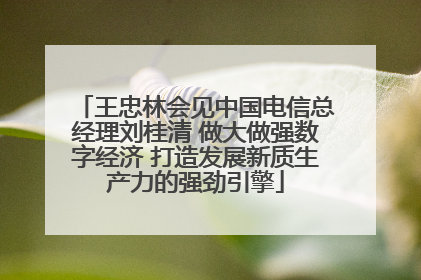 王忠林会见中国电信总经理刘桂清 做大做强数字经济 打造发展新质生产力的强劲引擎
