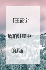 王征宇：琥珀虹膜中的我们