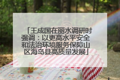 王成国在丽水调研时强调：以更高水平安全和法治环境服务保障山区海岛县高质量发展