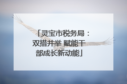 灵宝市税务局：双措并举 赋能干部成长新动能