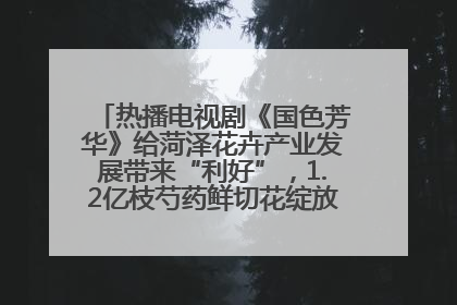 热播电视剧《国色芳华》给菏泽花卉产业发展带来“利好”，1.2亿枝芍药鲜切花绽放“国色芳华”