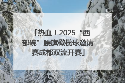 热血！2025“西部碗”腰旗橄榄球邀请赛成都双流开赛