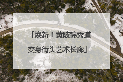 焕新！黄陂锦秀道变身街头艺术长廊
