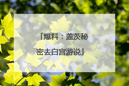 爆料：盖茨秘密去白宫游说