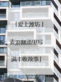 爱上潍坊丨麦浪翻涌里写满丰收故事