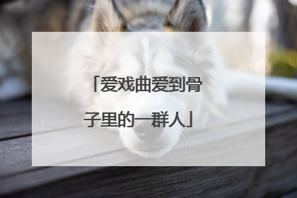 爱戏曲爱到骨子里的一群人