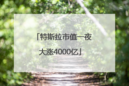 特斯拉市值一夜大涨4000亿