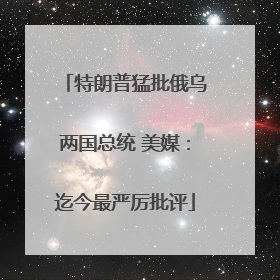 特朗普猛批俄乌两国总统 美媒：迄今最严厉批评