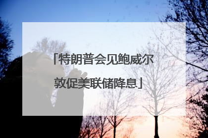 特朗普会见鲍威尔 敦促美联储降息