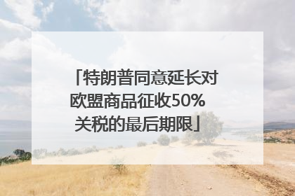 特朗普同意延长对欧盟商品征收50%关税的最后期限