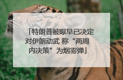 特朗普被曝早已决定对伊朗动武 称“两周内决策”为烟雾弹