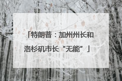 特朗普：加州州长和洛杉矶市长“无能”