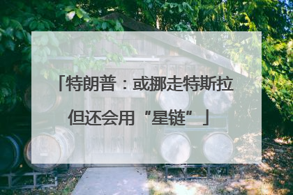 特朗普：或挪走特斯拉 但还会用“星链”