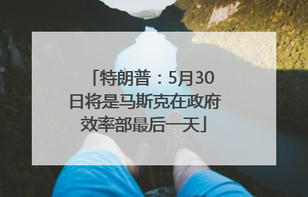 特朗普：5月30日将是马斯克在政府效率部最后一天