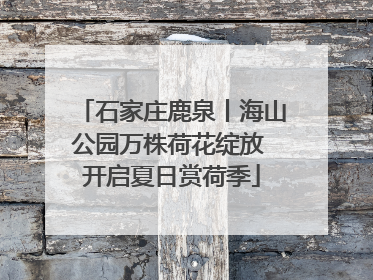 石家庄鹿泉丨海山公园万株荷花绽放 开启夏日赏荷季
