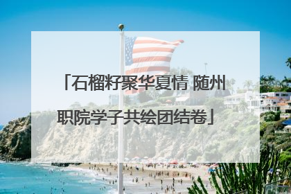 石榴籽聚华夏情 随州职院学子共绘团结卷