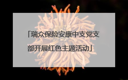 瑞众保险安康中支党支部开展红色主题活动