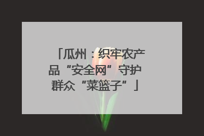 瓜州：织牢农产品“安全网”守护群众“菜篮子”
