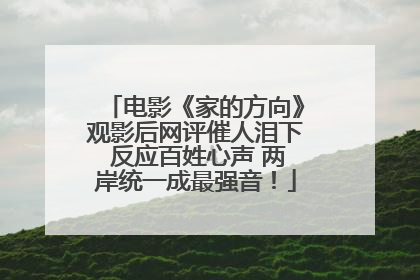 电影《家的方向》观影后网评催人泪下 反应百姓心声 两岸统一成最强音！