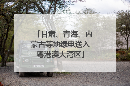 甘肃、青海、内蒙古等地绿电送入粤港澳大湾区