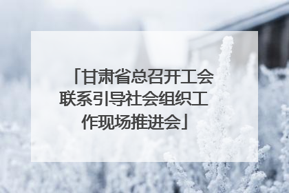甘肃省总召开工会联系引导社会组织工作现场推进会