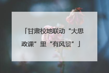 甘肃校地联动“大思政课”里“有风景”