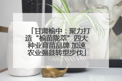 甘肃榆中：聚力打造“榆苗陇萃”四大种业育苗品牌 加速农业强县转型步伐