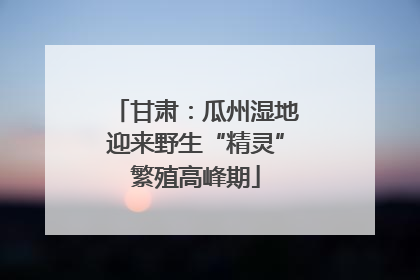甘肃：瓜州湿地迎来野生“精灵”繁殖高峰期