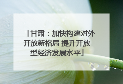 甘肃：加快构建对外开放新格局 提升开放型经济发展水平
