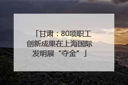 甘肃：80项职工创新成果在上海国际发明展“夺金”