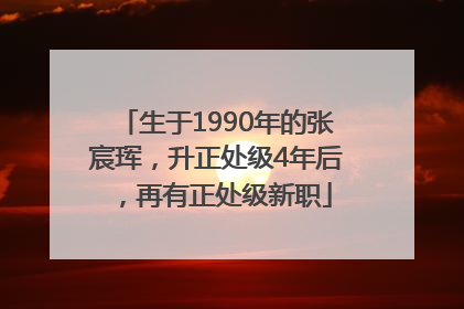 生于1990年的张宸珲，升正处级4年后，再有正处级新职