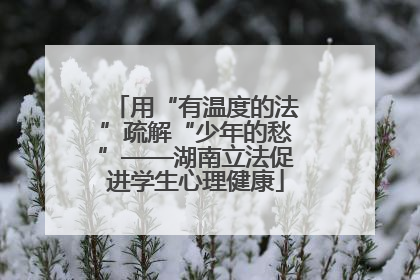 用“有温度的法”疏解“少年的愁”——湖南立法促进学生心理健康