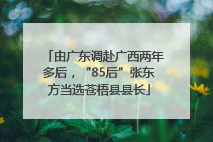 由广东调赴广西两年多后，“85后”张东方当选苍梧县县长