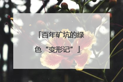 百年矿坑的绿色“变形记”