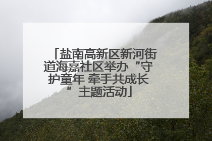 盐南高新区新河街道海嘉社区举办“守护童年 牵手共成长”主题活动