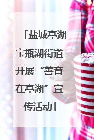 盐城亭湖宝瓶湖街道开展“善育在亭湖”宣传活动